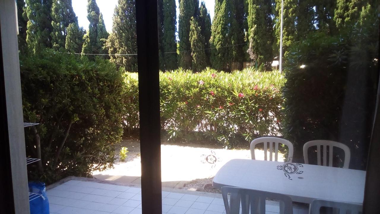 Studio De 27 M² + 70 M² De Jardin A 100 M Des Plages Cavalaire-sur-Mer Bagian luar foto